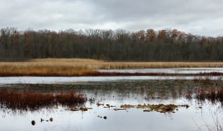 Reeds Lake telephoto-5